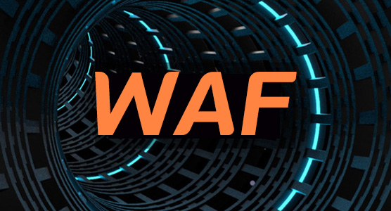 WAF is Zero Trust to Web Traffic