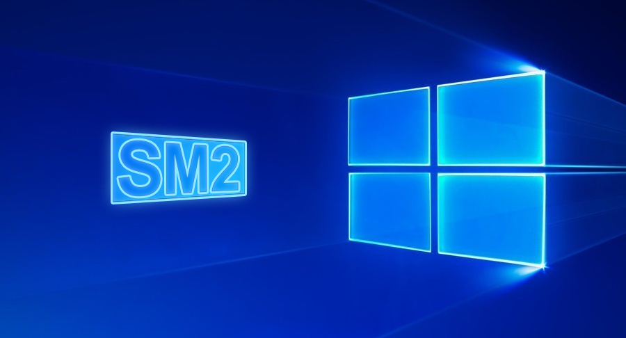 ZT Browser Patches the SM2 Algorithm for Windows