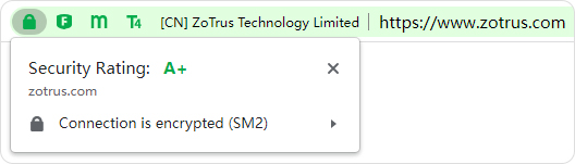 Trust only https websites, shown as Secure