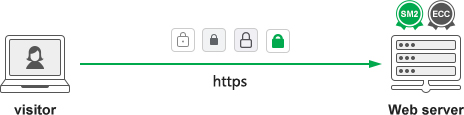 About the ZT Browser UI displaying Not secure